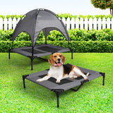 PaWz Pet Trampoline Bed Dog Cat Elevated Large - Rear View