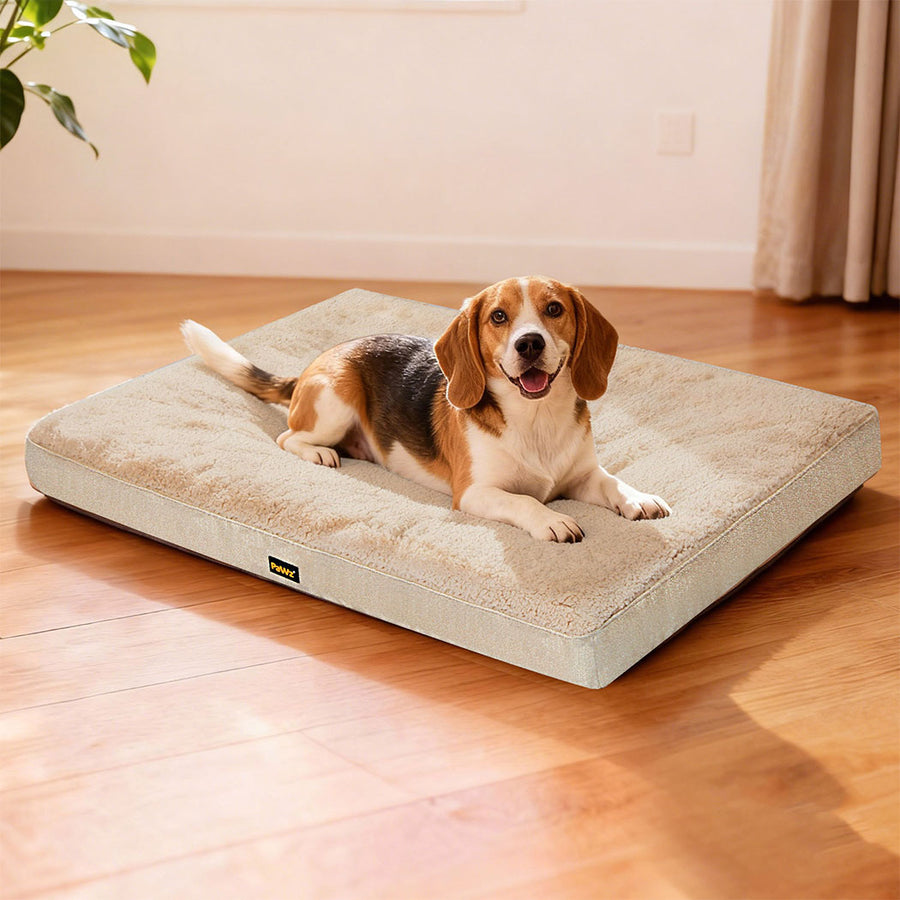Pawz Dog Bed Soft Pet Mat Cushion Removable Washable-2011971118256230406