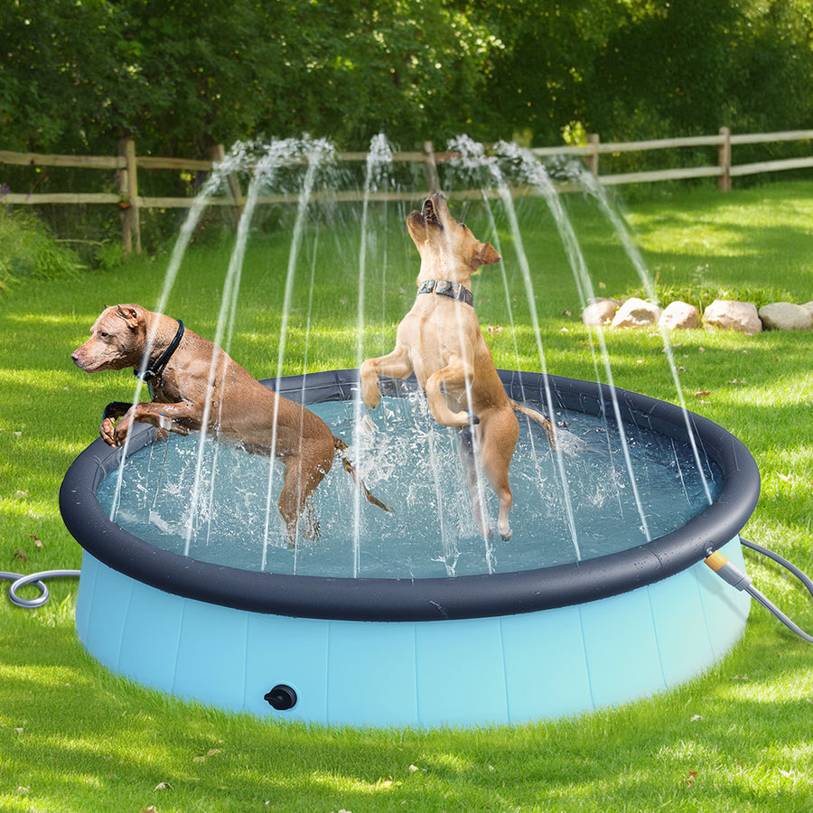 Pawz Folding Dog Swimming Pool-2018816766884581382