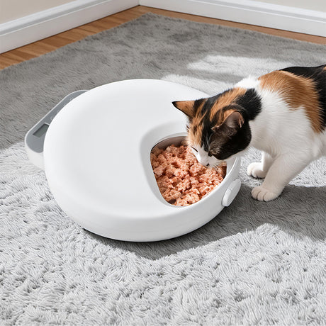 Pawz 4 Meals Automatic Timer Pet Smart Chilled Feeder-2018816784236417030