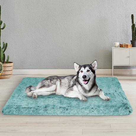 PaWz Dog Mat Pet Calming Bed Memory XL Green X-Large-2018816745845952518