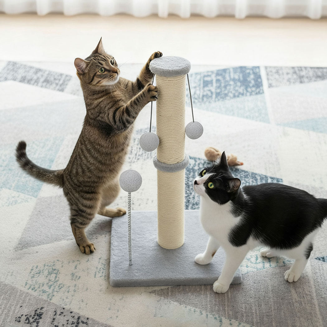 Pawz Cat Scratcher Tower Scratching Post-2006732788501450758