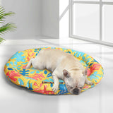 PaWz Pet Cool Gel Mat Cat Bed Dog Bolster L Large - Rear View