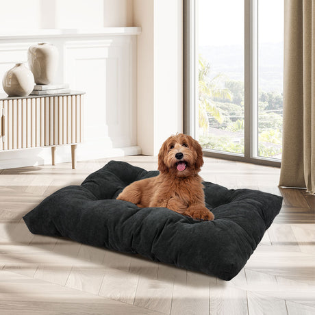 PaWz Pet Calming Bed Dog Cat Cushion M Medium-1954802561118769158