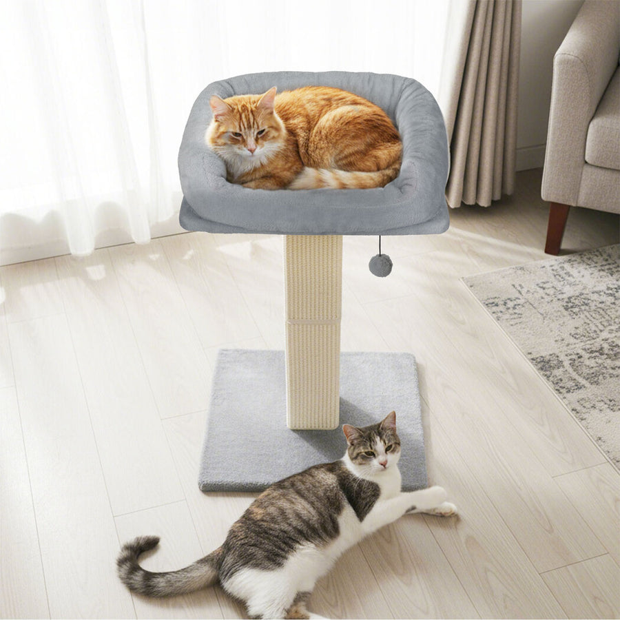 Pawz Cat Scratcher Big Perch Bed-2006732791278080006