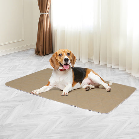 PaWz 2 Pcs 60x90 cm Reusable Waterproof Large-2018816648647151622