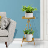 Levede Plant Stand 2 Tiers Outdoor Indoor Gold Medium - Rear View