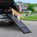 Pawz Dog Ramp-2006732878163087366