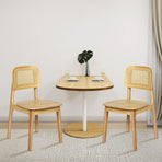 Levede 4x Rattan Dining Chair Wooden Kitchen Chair-2006733383874514950