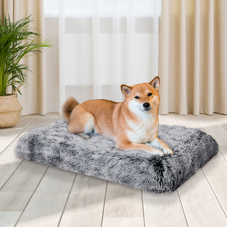 PaWz Dog Mat Pet Calming Bed Memory M Charcoal Medium-2018816682209972230