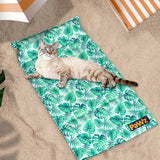 PaWz Pet Cooling Mat Cat Dog Gel Non-Toxic Small - Rear View