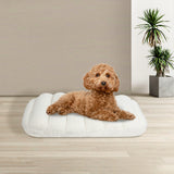 Pawz S Size Orthopedic Dog Bed with Sherpa Plush Removable Cover in White-2018816662094090246