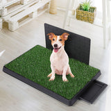 PaWz Indoor Dog Pet Grass Potty Training L - Rear View