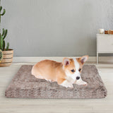 PaWz Dog Mat Pet Cat Calming Bed Memory S Coffee Small - Rear View