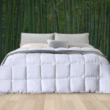 DreamZ 400GSM All Season Bamboo Winter Double - Rear View