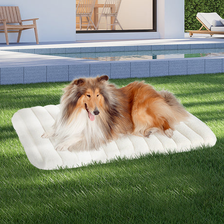 Pawz L Size Orthopedic Dog Bed with Sherpa Plush Removable Cover in White-1954802481838034951