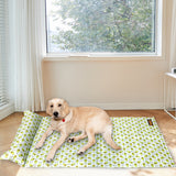PaWz Pet Cooling Mat Cat Dog Gel Non-Toxic X-Large-2006732987122716679