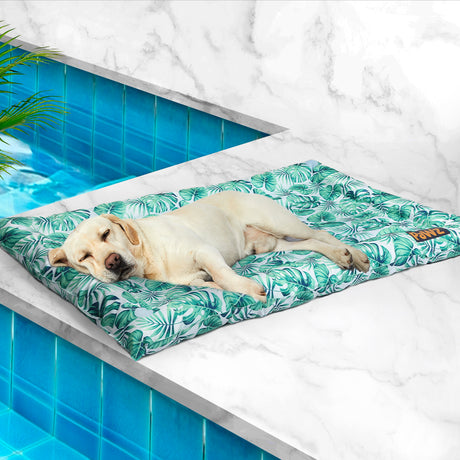 PaWz Pet Cool Gel Mat Cat Bed Dog Bolster L Large-2018816723670667271