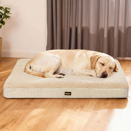 Pawz Dog Bed Soft Pet Mat Cushion Removable Washable-2011971118956679175