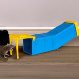 Lambu 2x L Mouse Rat Trap Cage Catch Blue Large - Close-Up Angle