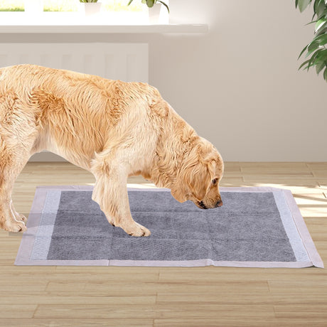 PaWz 400 Pcs 60x60cm Charcoal Pet Puppy-2018816891786760198