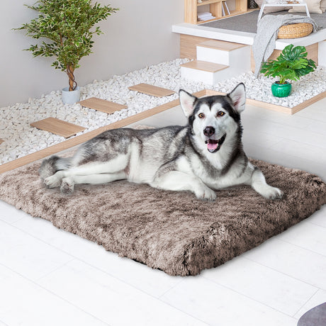 PaWz Dog Mat Pet Calming Bed Memory XL Coffee X-Large-1954802547940265991