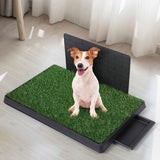 PaWz Indoor Dog Pet Grass Potty Training L-2006732964859351047