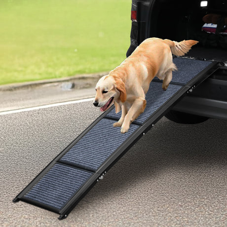 Pawz Dog Ramp-2006732878163087367