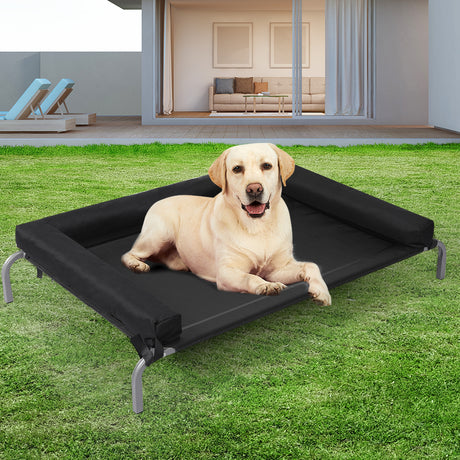 PaWz Elevated Pet Bed Dog Puppy Cat XL X-Large-1954802540050780167