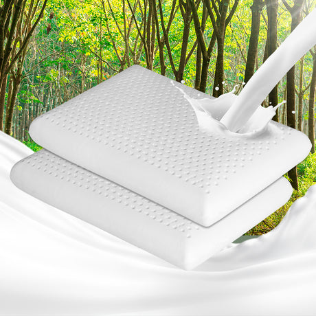 Dreamz 2x Natural Latex Pillow Removable-1954802912202985479