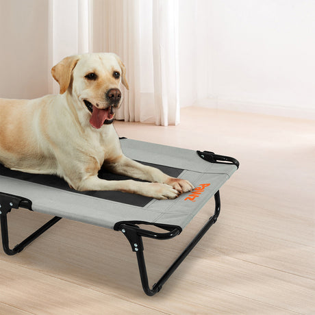 Pawz Pet Elevated Bed Dog Raised Trampoline Foldable Large L Size-2006732710206377991
