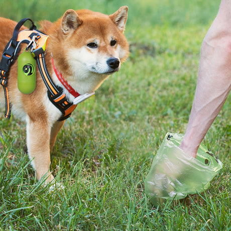 PaWz 100% Compostable Biobased Dog Poop-1954802565237575687