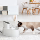 PaWz Electric Pet Water Fountain Drinking - Rear View