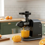 Spector Cold Press Juicer Slow Juicer Processor 150W-2018816847809482759