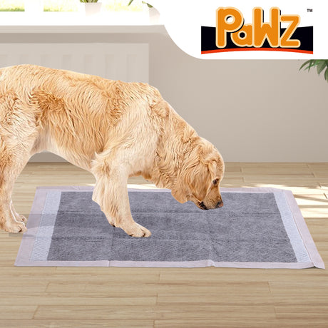 PaWz 50 Pcs 60x60cm Charcoal Pet Puppy Medium Brown-2006733294955270150