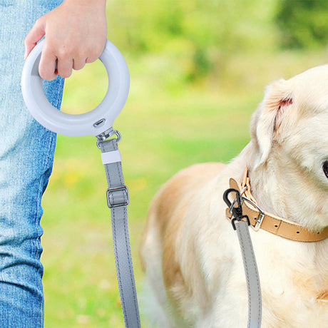 PaWz LED Dog Leash Lead Walking Rope White-1954802564662956039