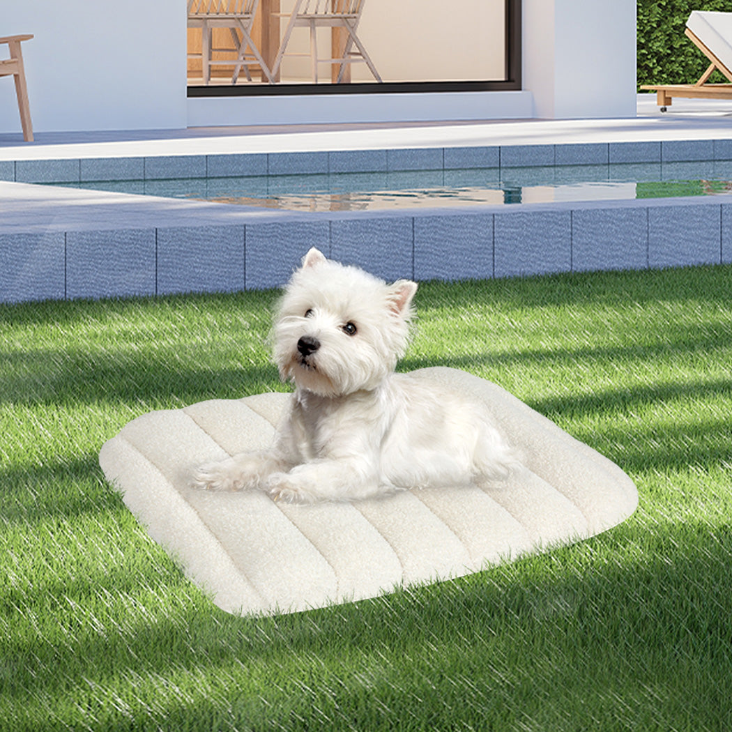 Pawz S Size Orthopedic Dog Bed with Sherpa Plush Removable Cover in White-2018816662094090247