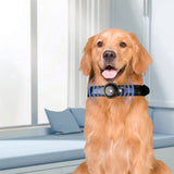 PaWz Bluetooth Pet Tracker Collar Dog Black-2006732996572483591