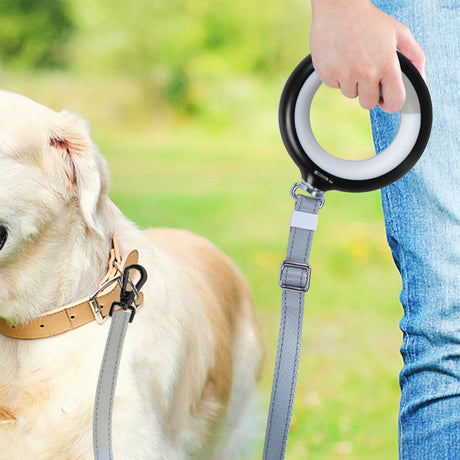 PaWz LED Dog Leash Lead Walking Rope Black-1954802564478406663