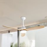 Spector 52'' Ceiling Fan LED Light DC Natural - Close-Up Angle