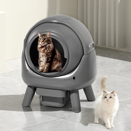 PaWz Smart Self Cleaning Cat Litter Box APP Control-2018816917917274119