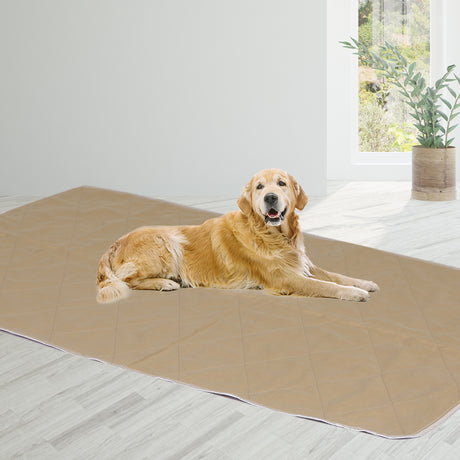 PaWz 2 Pcs 120x180 cm Reusable Waterproof KING-2018816737230852103