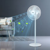 Spector Pedestal Floor Fan Portable White-2018816784056061959