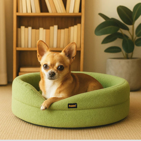 Pawz Pet Orthopedic Calming Bed Memory Foam Dog Sofa-1960920181463191559