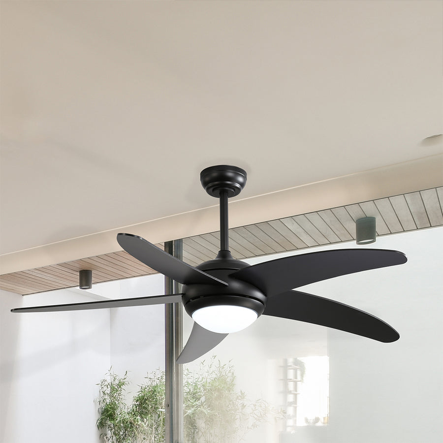 Spector 52'' Ceiling Fan LED Light DC Black-2018816901500768263