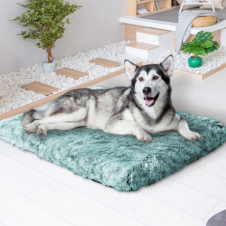 PaWz Dog Mat Pet Calming Bed Memory XL Green X-Large-2018816745845952519