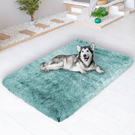 PaWz Dog Mat Pet Calming Bed Memory XXL Green XX-Large-2018816818914922503