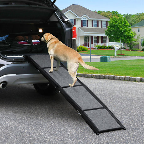 Pawz Dog Ramp-2006732878519603207