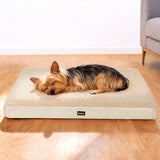 Pawz Dog Bed Soft Pet Mat Cushion Removable Washable-2011971118612746247