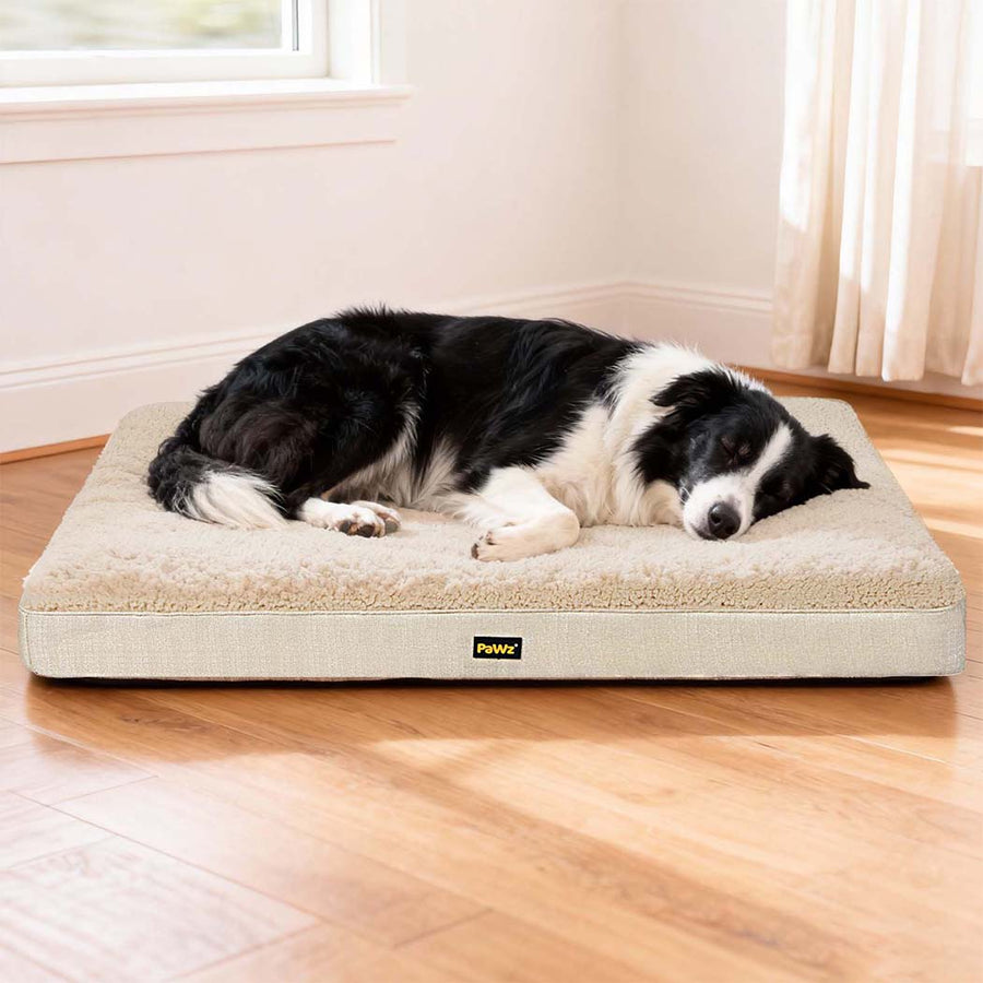 Pawz Dog Bed Soft Pet Mat Cushion Removable Washable-2011971118780518407